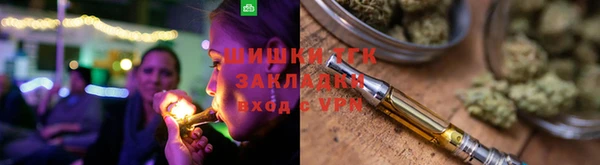 тгк Гусев