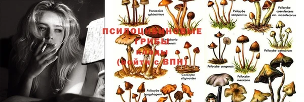 мдма Гусиноозёрск