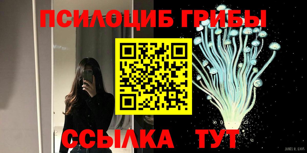 дарнет шоп  Галлюциногенные грибы GOLDEN TEACHER  Галлюциногенные грибы прущие грибы  Вход с VPN  Москва 