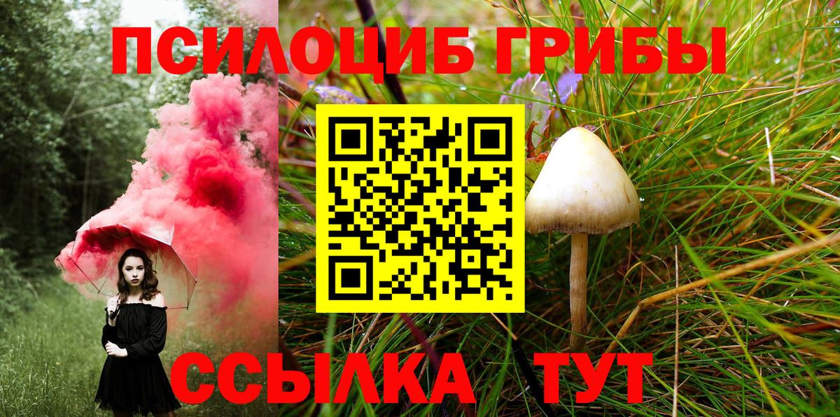 Псилоцибиновые грибы MAGIC MUSHROOMS Москва
